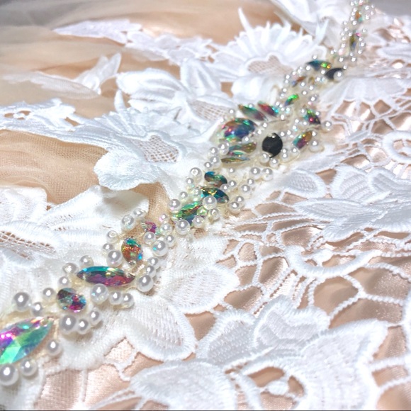 Lace Over Nude Align Evening Gown Wedding Dress - Picture 8 of 8